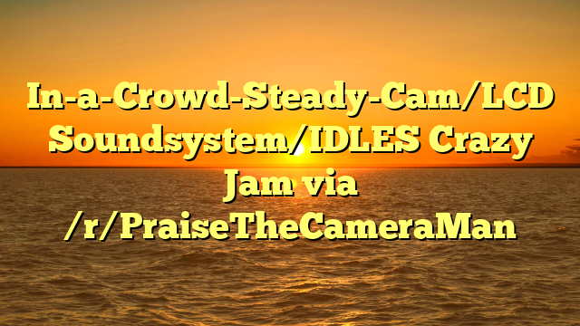 In-a-Crowd-Steady-Cam/LCD Soundsystem/IDLES Crazy Jam via /r/PraiseTheCameraMan