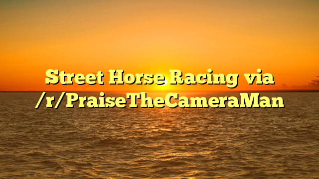 Street Horse Racing  via /r/PraiseTheCameraMan